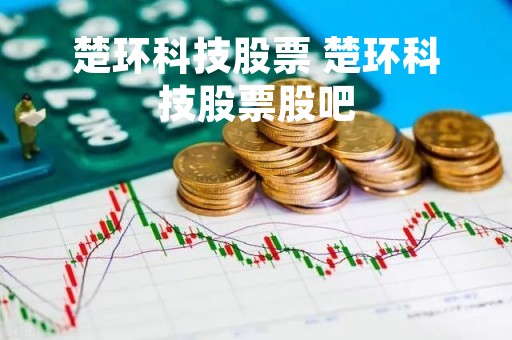 楚环科技股票 楚环科技股票股吧