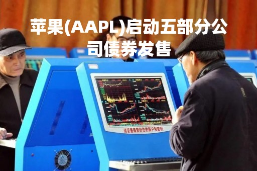 苹果(AAPL)启动五部分公司债券发售
