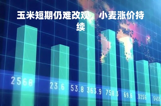 玉米短期仍难改观，小麦涨价持续