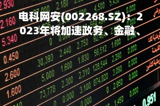 电科网安(002268.SZ)：2023年将加速政务、金融、能源等传统重点行业市场推广，重点突破运营商、医疗、教育等新行业
