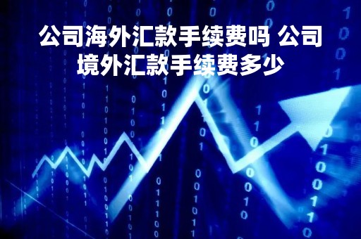 公司海外汇款手续费吗 公司境外汇款手续费多少