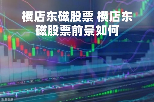 横店东磁股票 横店东磁股票前景如何