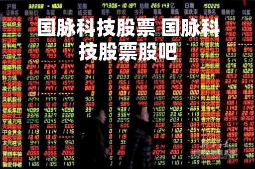 国脉科技股票 国脉科技股票股吧