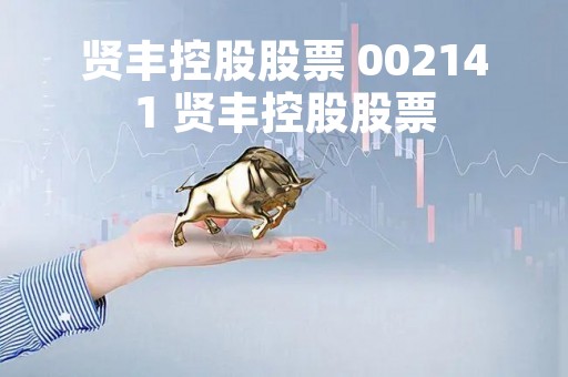 贤丰控股股票 002141 贤丰控股股票