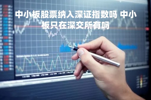 中小板股票纳入深证指数吗 中小板只在深交所有吗