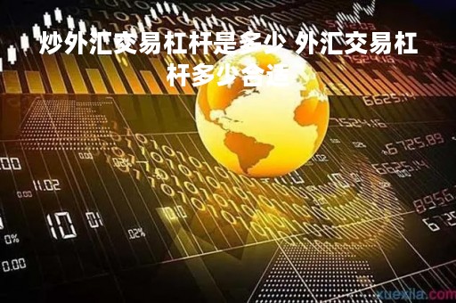 炒外汇交易杠杆是多少 外汇交易杠杆多少合适