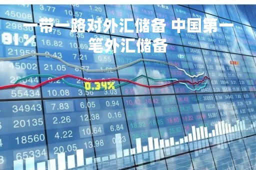 一带一路对外汇储备 中国第一笔外汇储备