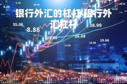 银行外汇的杠杠 银行外汇杠杆