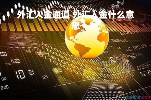 外汇入金通道 外汇入金什么意思