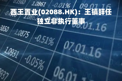 西王置业(02088.HK)：王镇辞任独立非执行董事