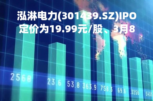 泓淋电力(301439.SZ)IPO定价为19.99元/股、3月8日申购
