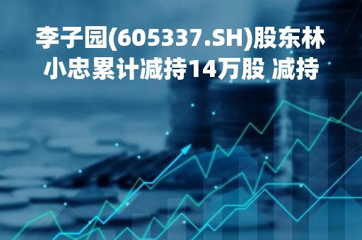 李子园(605337.SH)股东林小忠累计减持14万股 减持数量过半