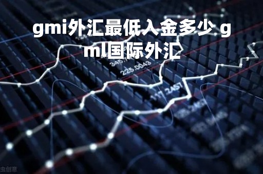 gmi外汇最低入金多少 gml国际外汇