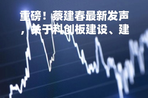 重磅！蔡建春最新发声，关于科创板建设、建立中国特色估值体系……