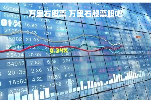 万里石股票 万里石股票股吧