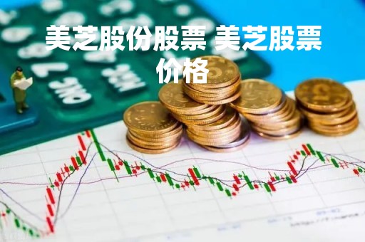 美芝股份股票 美芝股票价格