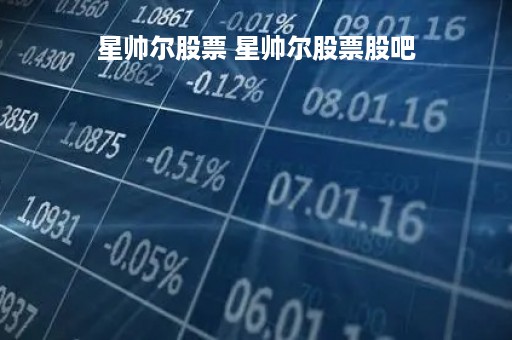 星帅尔股票 星帅尔股票股吧
