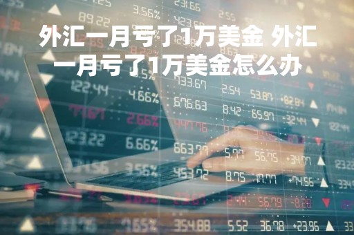 外汇一月亏了1万美金 外汇一月亏了1万美金怎么办