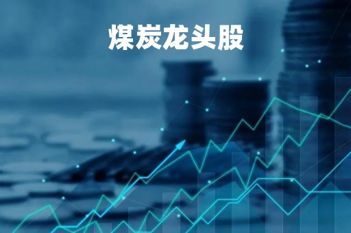 煤炭龙头股