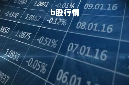 b股行情