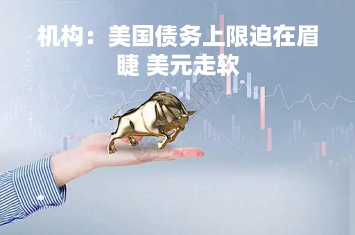 机构：美国债务上限迫在眉睫 美元走软