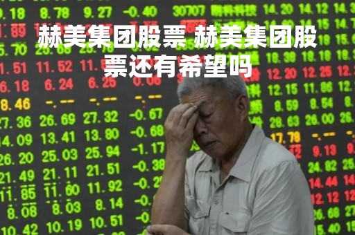 赫美集团股票 赫美集团股票还有希望吗
