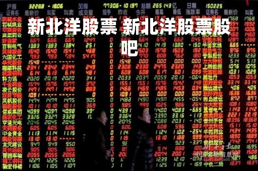 新北洋股票 新北洋股票股吧