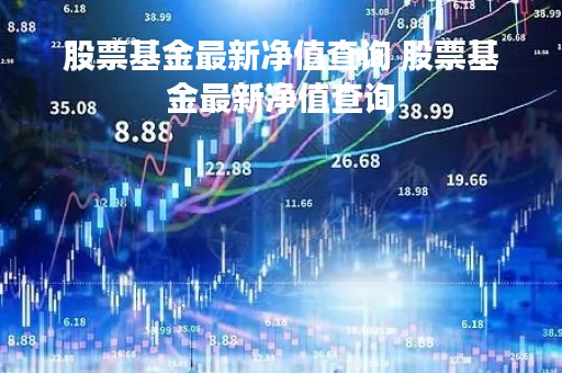 股票基金最新净值查询 股票基金最新净值查询