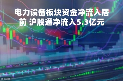 电力设备板块资金净流入居前 沪股通净流入5.3亿元