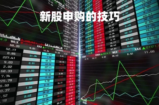 新股申购的技巧