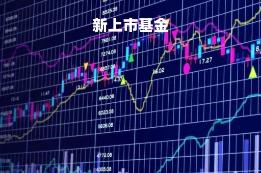 新上市基金