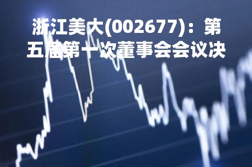 浙江美大(002677)：第五届第一次董事会会议决议，审议4项议案获通过