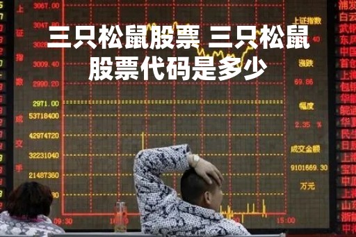 三只松鼠股票 三只松鼠股票代码是多少 三只松鼠股票 三只松鼠股票代码是多少