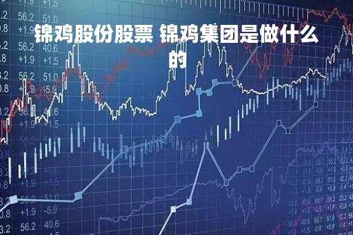 锦鸡股份股票 锦鸡集团是做什么的