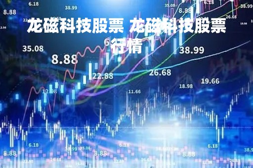 龙磁科技股票 龙磁科技股票行情