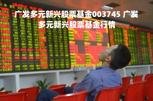 广发多元新兴股票基金003745 广发多元新兴股票基金行情