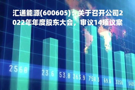 汇通能源(600605)：关于召开公司2022年年度股东大会，审议14项议案