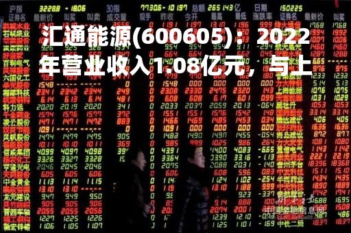 汇通能源(600605)：2022年营业收入1.08亿元，与上期同比减少3.89%