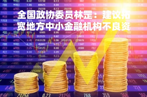 全国政协委员林罡：建议拓宽地方中小金融机构不良资产处置渠道
