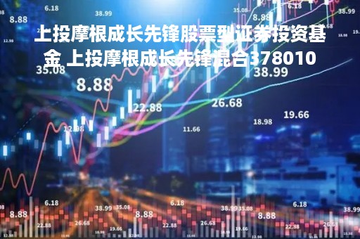 上投摩根成长先锋股票型证券投资基金 上投摩根成长先锋混合378010