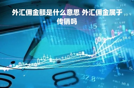 外汇佣金额是什么意思 外汇佣金属于传销吗