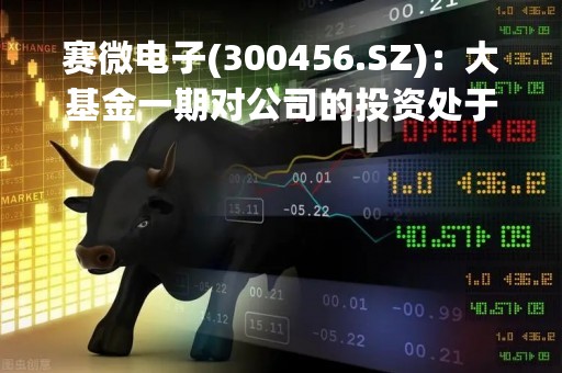 赛微电子(300456.SZ)：大基金一期对公司的投资处于盈利状态