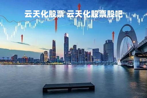 云天化股票 云天化股票股吧