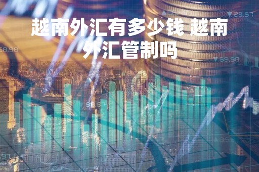 越南外汇有多少钱 越南外汇管制吗