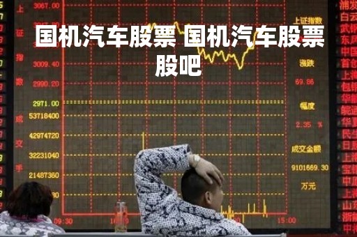 国机汽车股票 国机汽车股票股吧
