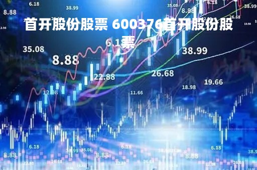 首开股份股票 600376首开股份股票