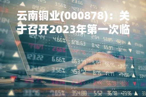 云南铜业(000878)：关于召开2023年第一次临时股东大会，审议3项议案