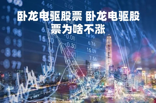 卧龙电驱股票 卧龙电驱股票为啥不涨