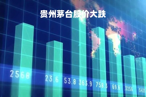 贵州茅台股价大跌