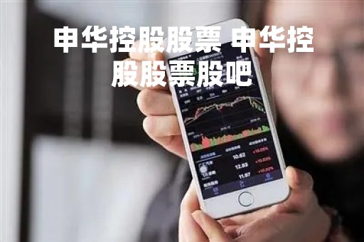 申华控股股票 申华控股股票股吧